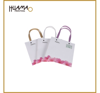 HMG01