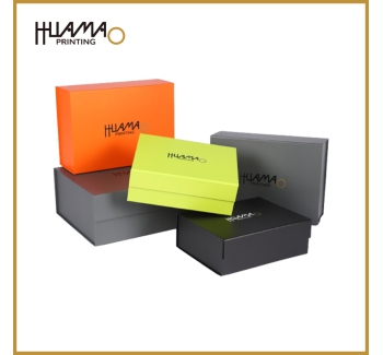 HMG01