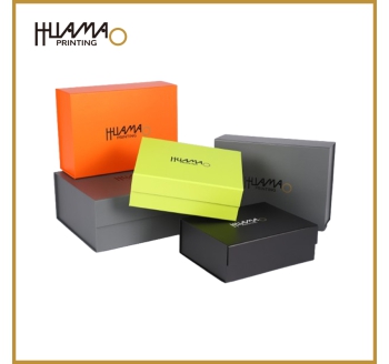 HMG01