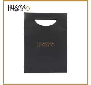 HMG02