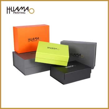 HMG01